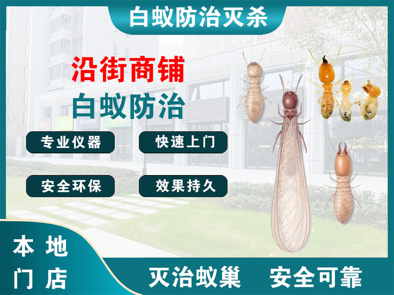 龙港市沿街商铺白蚁防治