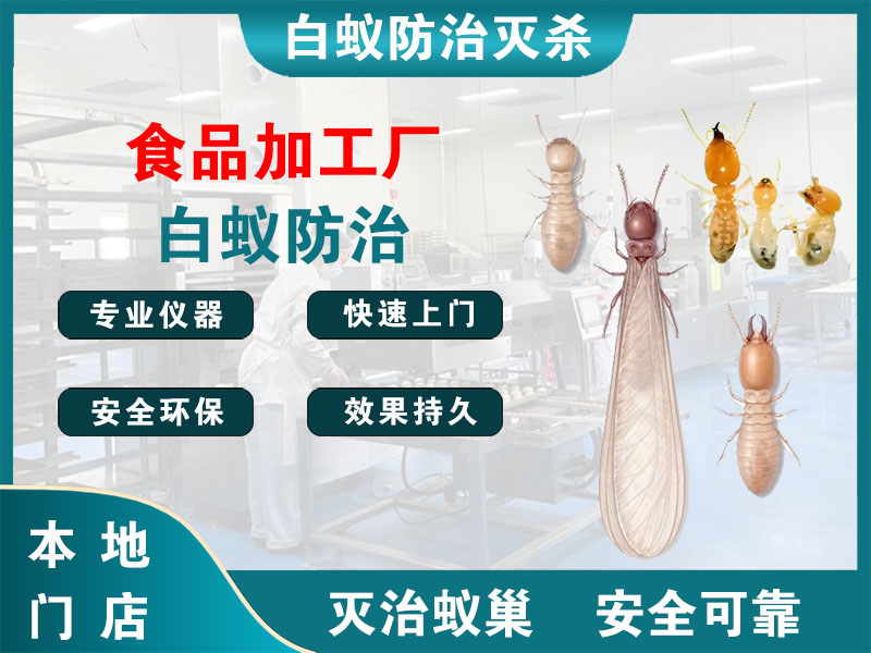 龙港市食品加工厂白蚁防治