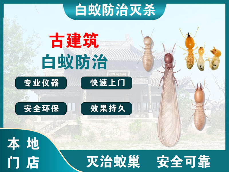 龙港市古建筑白蚁防治