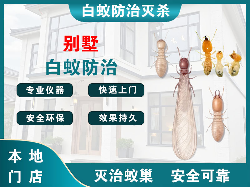 龙港市别墅白蚁防治
